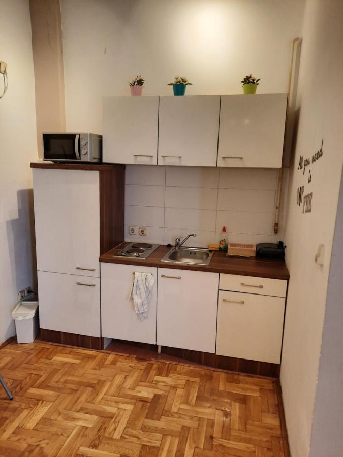 Studio Apartment Zágráb Kültér fotó